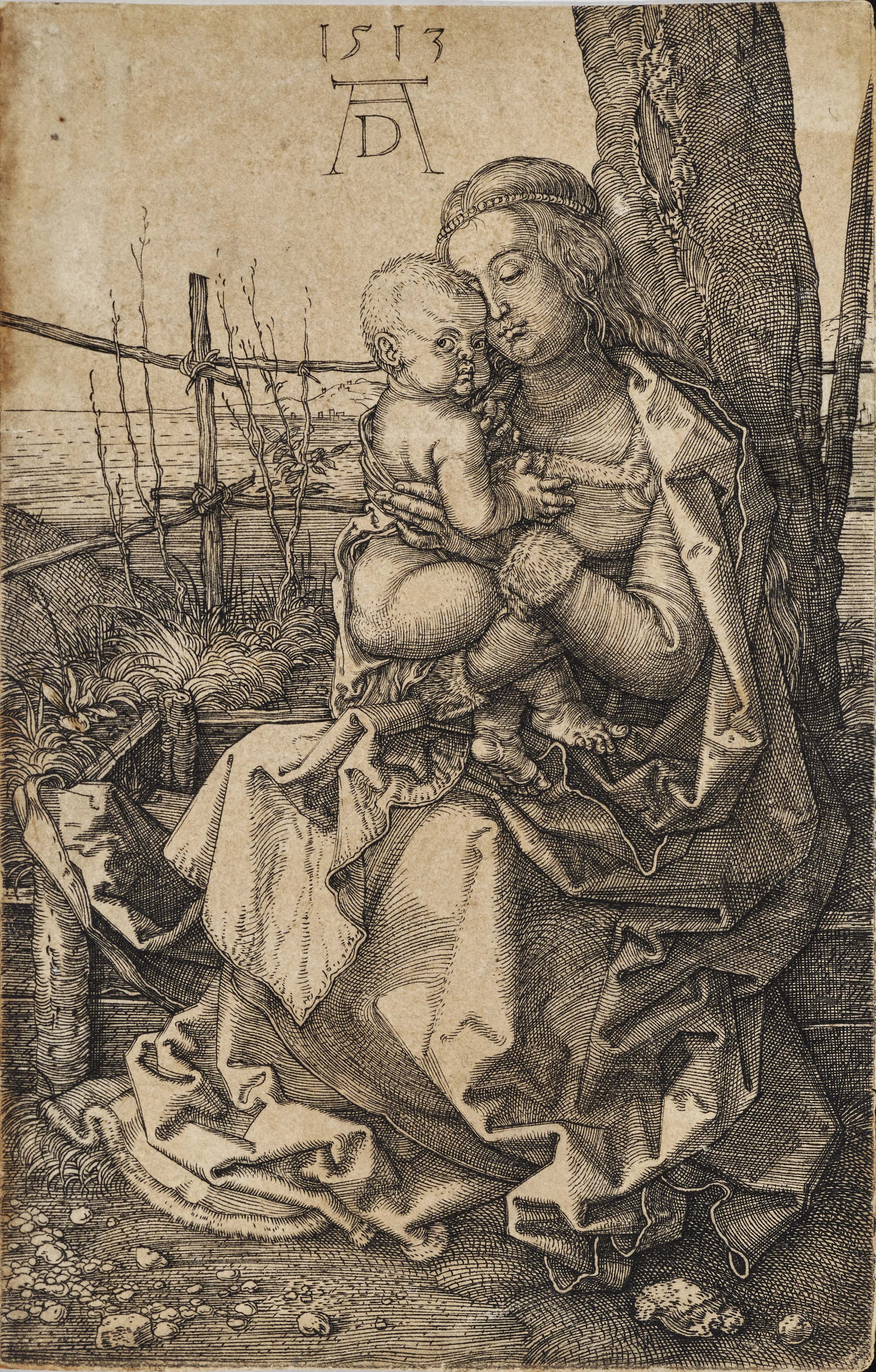Albrecht Dürer Fichte Kunstkarte 